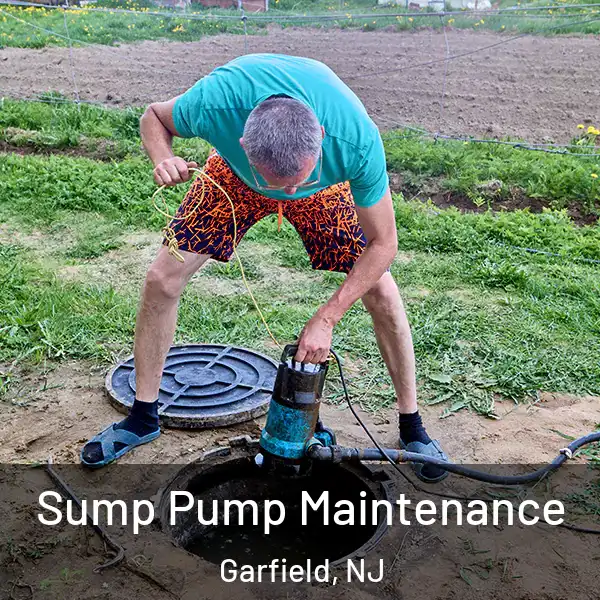  Sump Pump Maintenance Garfield, NJ